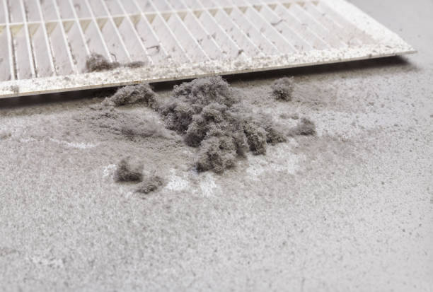 Best HVAC System Cleaning  in Kendallville, IN
